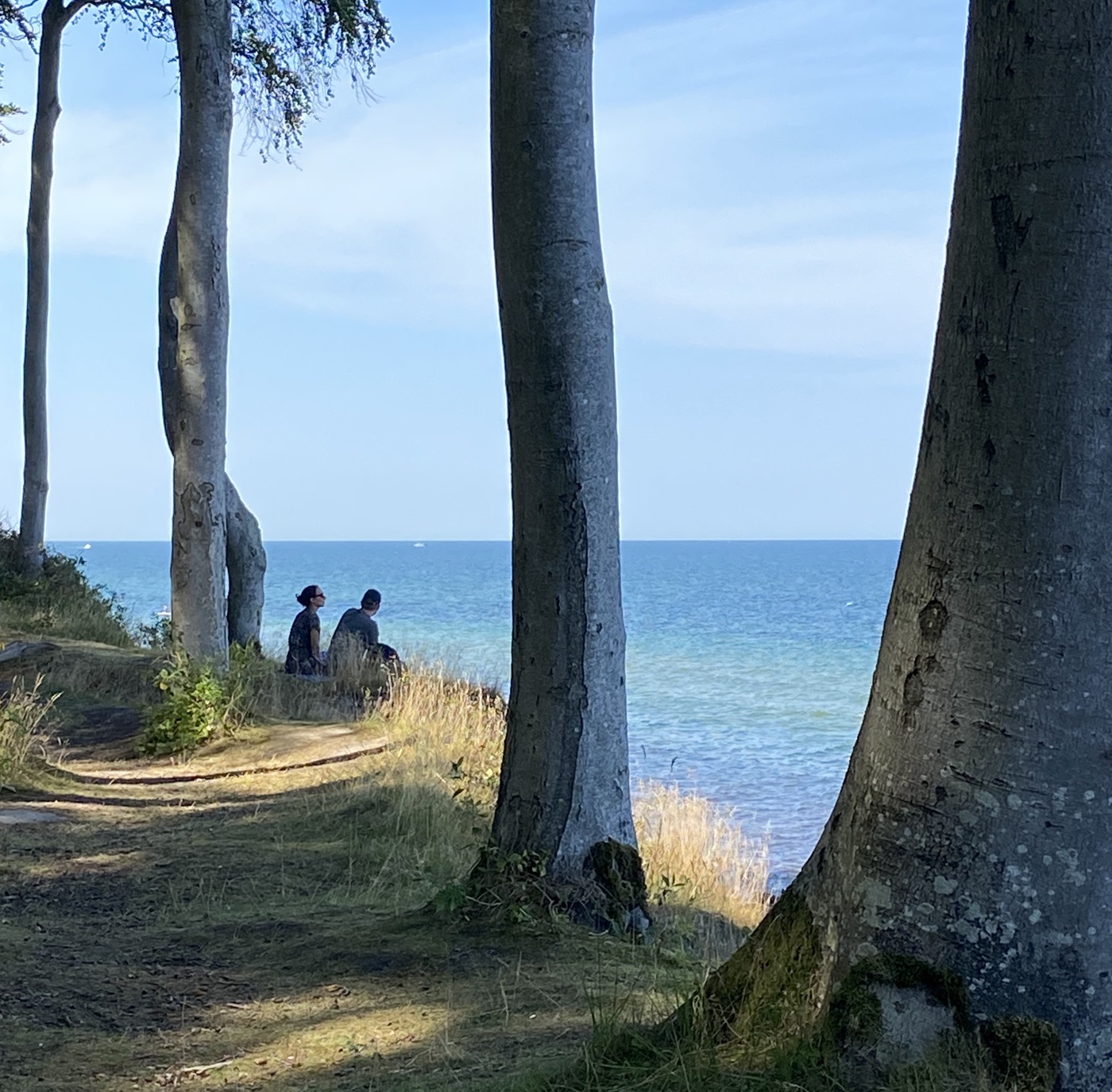 Bild von der Ostseeküste